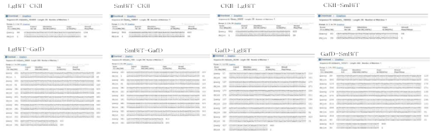 8종의 NanoBiT O-GlcNAc 수식화 sensor constructs