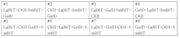 test sets of NanoBiT O-GlcNAc 수식화 sensor constructs for optimization