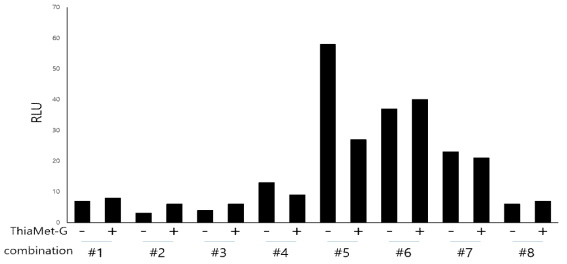 NanoBiT O-GlcNAc sensor test set 8종을 Thiamet-G를 처리한 HEK293 세포에 도입하여 O-GlcNAc 수식화 변화를 확인