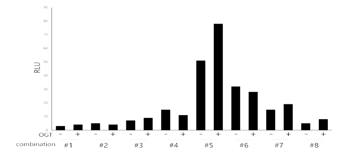 NanoBiT O-GlcNAc sensor test set 8종을 OGT가 과발현된 HEK293 세포에 도입하여 O-GlcNAc 수식화 변화를 확인