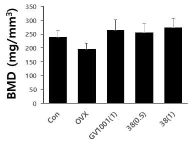 Effect of GV1001 and truncated GV1001 of BMD on OVX animal model