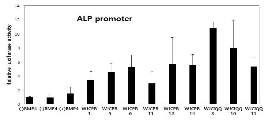 ALP promoter를 이용한 베르베린 유도체 활성 검색