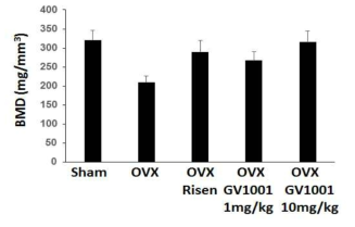 Effect of Risedronate and GV1001 of BMD on OVX animal model