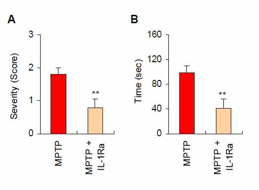 IL-1수용체 길항제에 의한 MPTP 유도 파킨슨병 증상 변화 확인