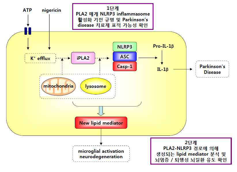 연구과제의 개요