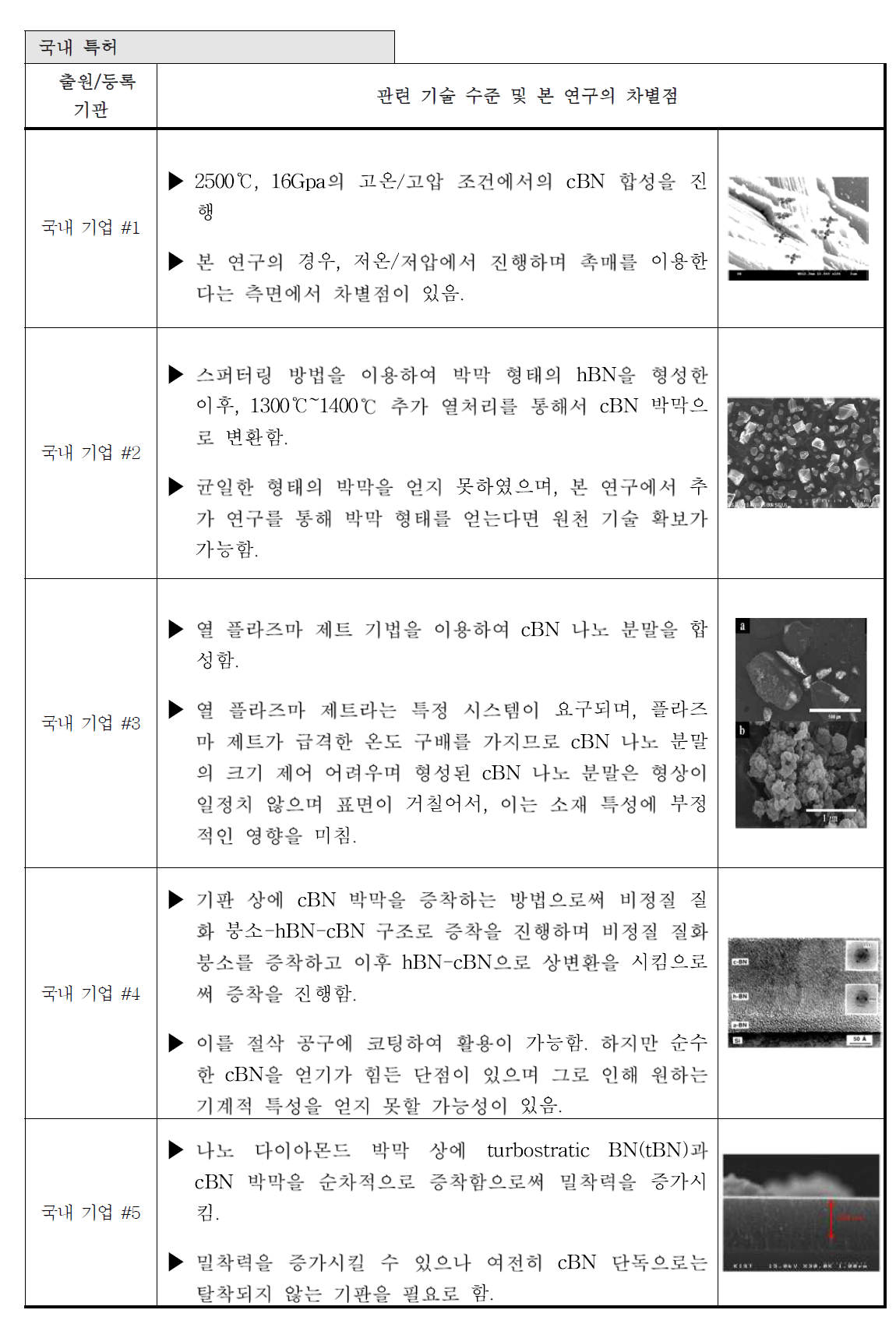 국내 특허 동향