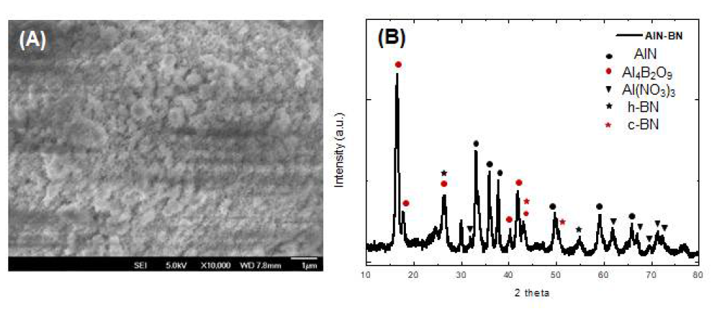 (A) AlN에서의 BN 합성 후 SEM 이미지 (B) XRD 분석