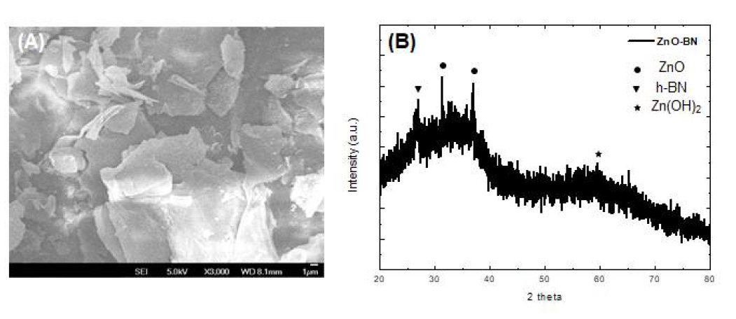 (A) ZnO에서의 BN 합성 후 SEM 이미지 (B) XRD 분석