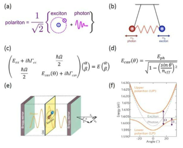 폴라리톤에 대한 개념도와 이의 coupled oscillator model, (c) 대응하는 고유벡터/교유치 문제, (d) Cavity mode의 입사파의 각 의존성, (e)/(f) Exciton-polariton dispersion relationship