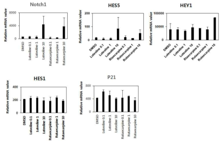 Luteolin과 Rutaecarpine에 의한 Notch 관련 유전자의 발현 측정