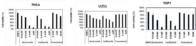 trometamol, carfilzomib, bortezomib에 의한 세포 생존도 조사