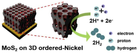 Schematic illustration for the synthesis of 3D MoS2 on Ni as electrocatalysts for hydrogen evolution reaction