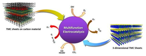 Schematic of designing novel multifunctional electrocatalyst