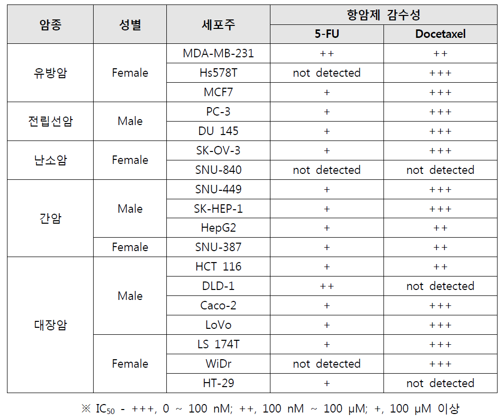 항암제에 의한 세포 독성 연구