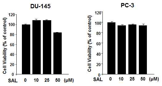 Prostate cancer cells의 세포증식에 대한 SAL의 영향