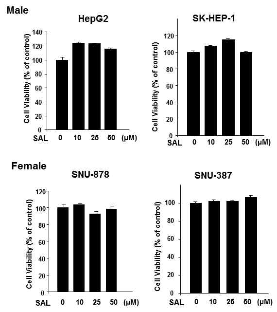 Male/female origin 간암세포주의 세포증식에 대한 SAL의 영향