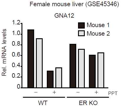 ERα WT, Knockout세포에서 PPT자극에 의한 GNA12 발현 변화를 추적한 mouse GEO 자료 분석