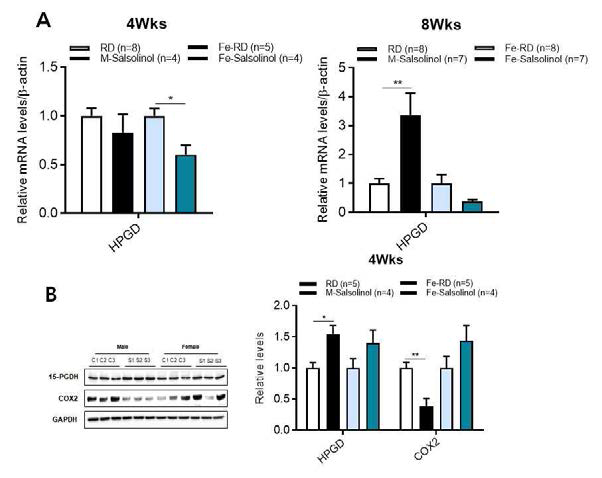 마우스 간조직에서 SAL에 의한 15-PGDH의 mRNA(A)와 단백질(B) 발현 (*p<0.05, **p<0.01, # p<0.005, ## p<0.001)