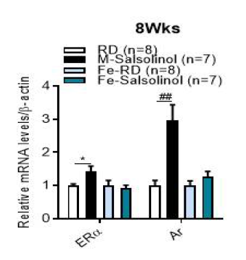 Male/female mice (C57BL/6)의 간 조직에서 SAL에 의한 hormone 수용체의 발현 변화