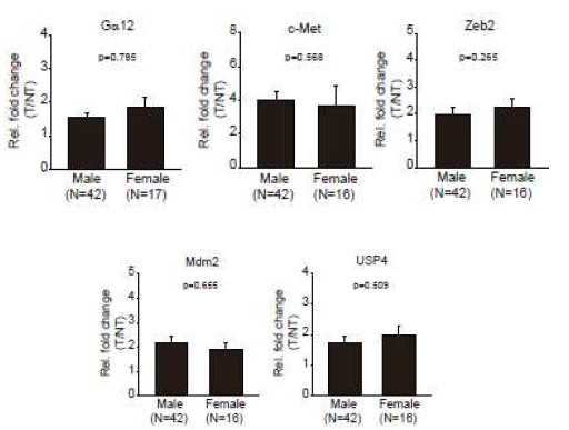 간세포암 악성화에 관여하는 분자 (Gα12, c-Met, Zeb2, Mdm2, USP4)의 발현 변화