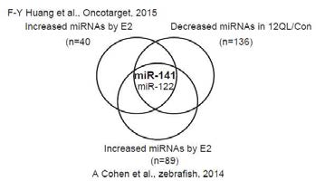 에스트로젠 처리 및 Gα12의 발현 변화에 따라 조절되는 miRNAs