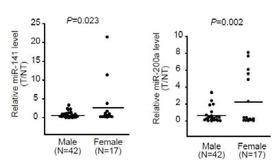 젠더별 miR-141과 miR-200a의 발현