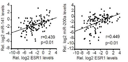 에스트로젠 수용체 수준과 miR-141 및 miR-200a 함량 간 상관관계 분석