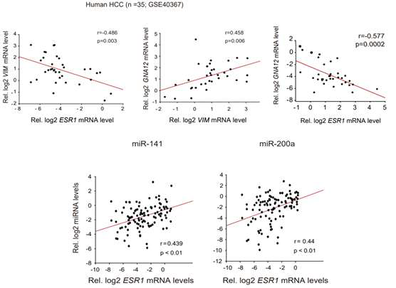 HCC public dataset을 활용, ERα 변화에 따른 암 바이오마커의 발현 변화 및 각 유전자들의 상관관계 검증