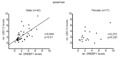 SREBP-1과 UBC12발현 상관성의 젠더 차이