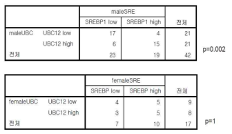 SREBP-1또는 UBC12 발현량과 젠더 차이 간 교차 분석