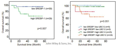 SREBP-1과 UBC12 발현에 따른 간암 환자의 생존율 상관 관계 분석