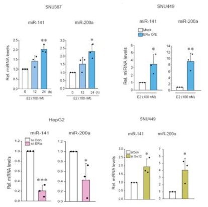 ERα/Gα12 의존적 miR-141,-200a의 변화 관찰