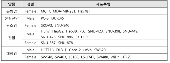 확립된 in vitro 세포주 시스템