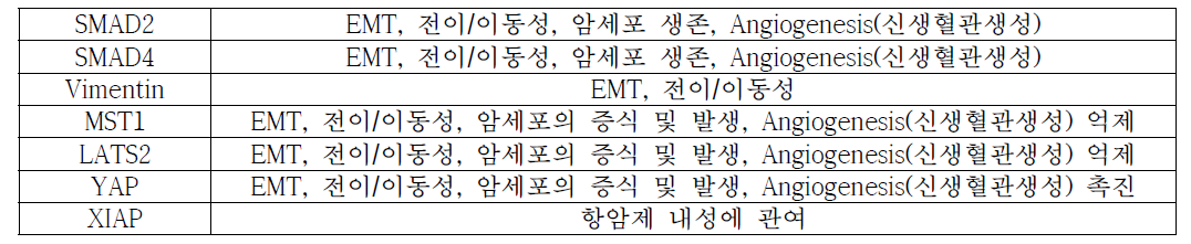 암세포에서 발굴한 신규 O-GlcNAc 수식화 단백질 및 그 기능별 분류