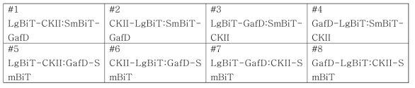 test sets of NanoBiT O-GlcNAc 수식화 sensor constructs for optimization