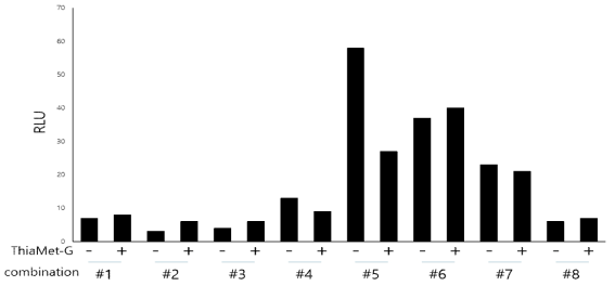 NanoBiT O-GlcNAc sensor test set 8종을 Thiamet-G를 처리한 HEK293 세포에 도입하여 O-GlcNAc 수식화 변화를 확인