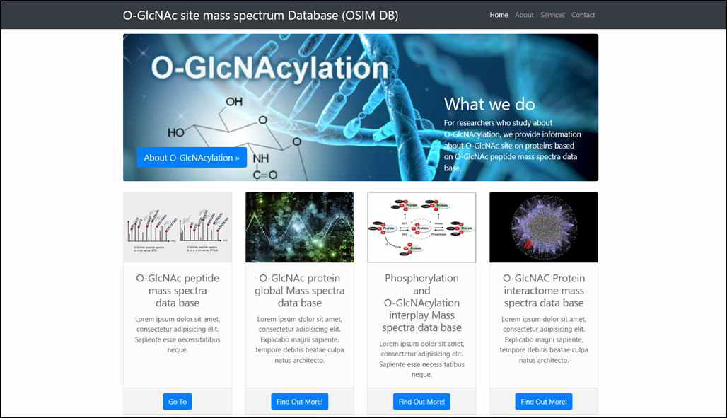 O-GlcNAC 수식화 단백질 및 수식화 사이트의 질량분석 결과 데이터베이스 구축