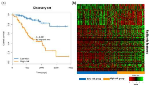 Radioimic feature를 이용한 예후 예측 결과 high-risk과 low-risk간 유의한 차이를 보임. (a) Kaplan-Meier curves (b) heatmap