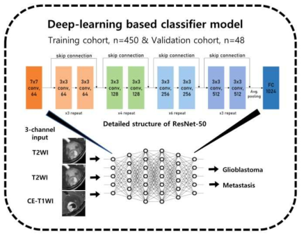 뇌종양 감별을 위한 딥러닝 모델