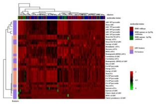 molecular marker와 겉보기 확산계수지도 및 분획이방성의 feature들과의 연관성을 보여주는 heat map