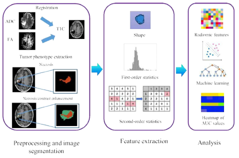 Radiomics workflow