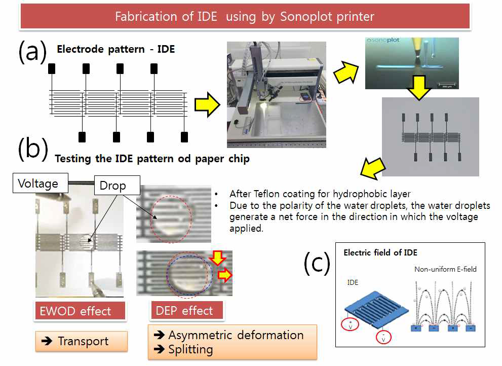 종이칩 상에서 EW+DEP/DW을 융합한 액적 구동을 위하여, (a) 극미세 IDE전극을 설계 및 인쇄법으로 제조하여, (b) EW로 수송, DEP로 개방형 칩상에서 액적 분리의 제조법 및 구동밥법 관련기술 확보