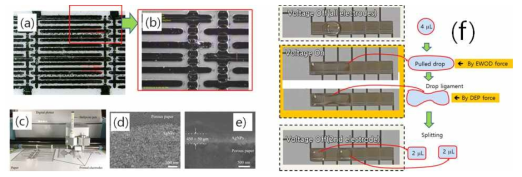 DEP구동 종이칩 상 고해상도 인쇄법 개발, (a)-(b) 분리기 모듈의 인쇄 최적화 기술 개발, (c)-(e) plotter와 볼펜을 이용한 전극잉크 인쇄법 개발, (f) 분리기 모듈 개발 성공