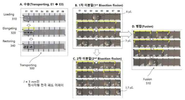 DEP-DW구동식 종이칩 상에서 액적 구동법 개발: 개방형 종이칩에서 다양한 체적 비율로 액적의 분리 성공으로 추축, 수송, 분할, 병합, 혼합 등 5대 구동 요소 모두 성공적 완료. 축출(dispenser)과 분리(splitter)를 집속한 분배기(distributor) 기술의 기반이 됨