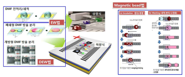개방형에서 디지털 유체방울(DMF)의 분리, 혼합, 축출이 가능한 3가지 구동방식: (a) EW, (b) DEP-EW, (c)자기장