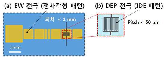 인쇄 해상도에 따른 전극패턴: a) 디지털 방울 수송용 EW 전극 패턴(mm레벨)에, b) 방울 및 입자 분리용 DEP 전극(mm레벨) 삽입의 예