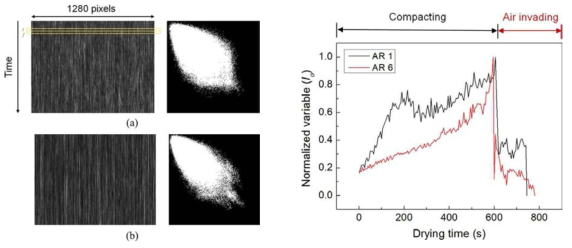 MSDWS로 측정된 light intensity data 예 및 normalized IM 결과