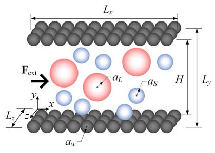 관내 압력유동을 겪는 bidisperse 현탁액. LBM 계산 조건의 개략도