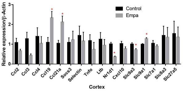 db/db mice renal cortex에서 empa 치료 여부에 따른 관심있는 유전자들의 발현 차이