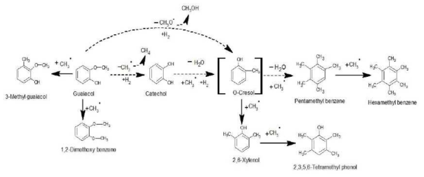 γ-Al2O3-SiO2 촉매상에서 Guaiacol 분해반응 경로